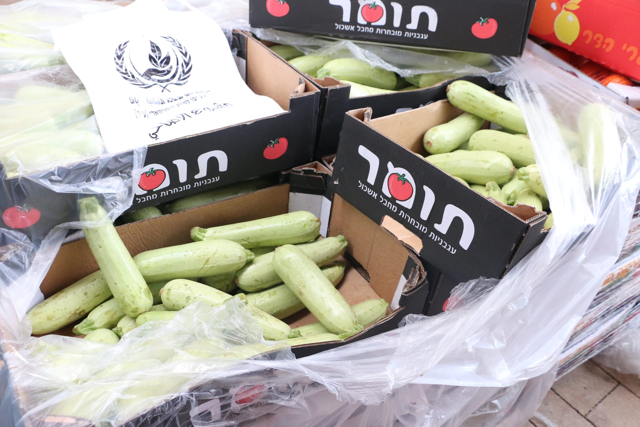 WhatsApp Image 2023-04-11 at 8.33.03 AM (1).jpeg